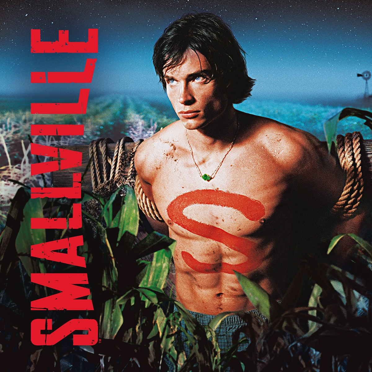 სმოლვილი Smallville ქართულად